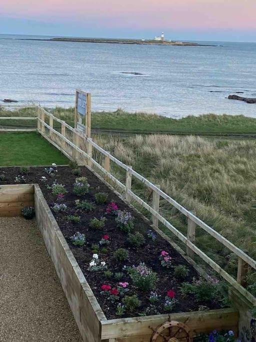 Signal House - A Stunning Beach House - 2020 Build Amble Eksteriør billede